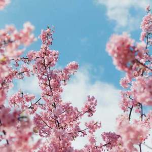 泰国军人体检视频播放大全
